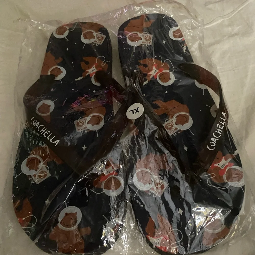 Coachella Music Festival Flip Flops New Sealed Bag Sz XL Black Red Brown White.